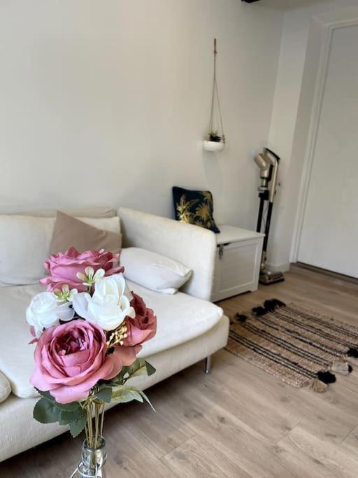 Villa Gaby~ 2 Pers ~ Hypercentre Pau Buitenkant foto